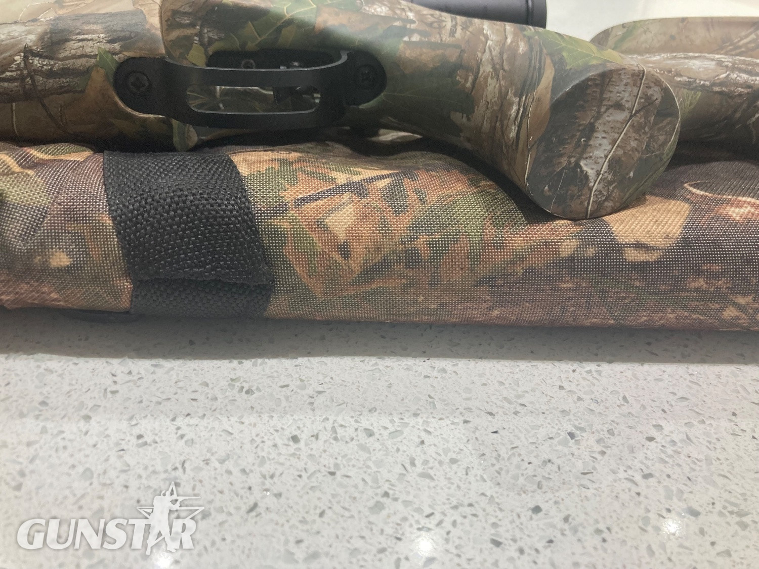 {CATEGORY} - BSA Bsa r10 se regulated .22