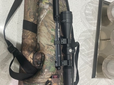 BSA Bsa r10 se regulated .22