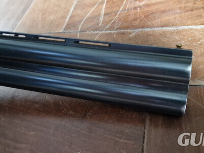 Winchester Model 99 Over and Under 12 Bore/gauge