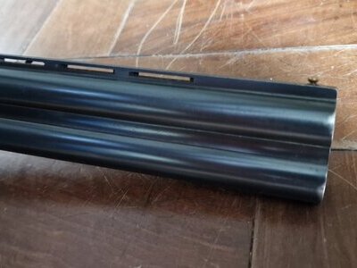 Winchester Model 99 Over and Under 12 Bore/gauge
