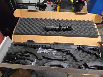 Ruger Sr 22 Semi-Auto .22 Rifle