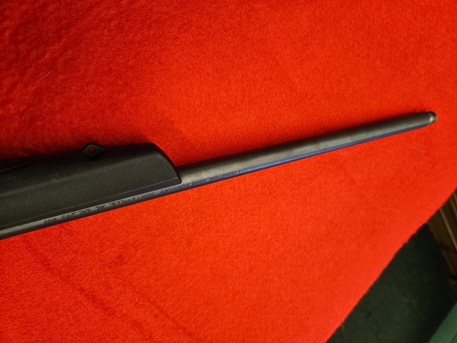 {CATEGORY} - Remington 783 Bolt Action .243 Rifle in 