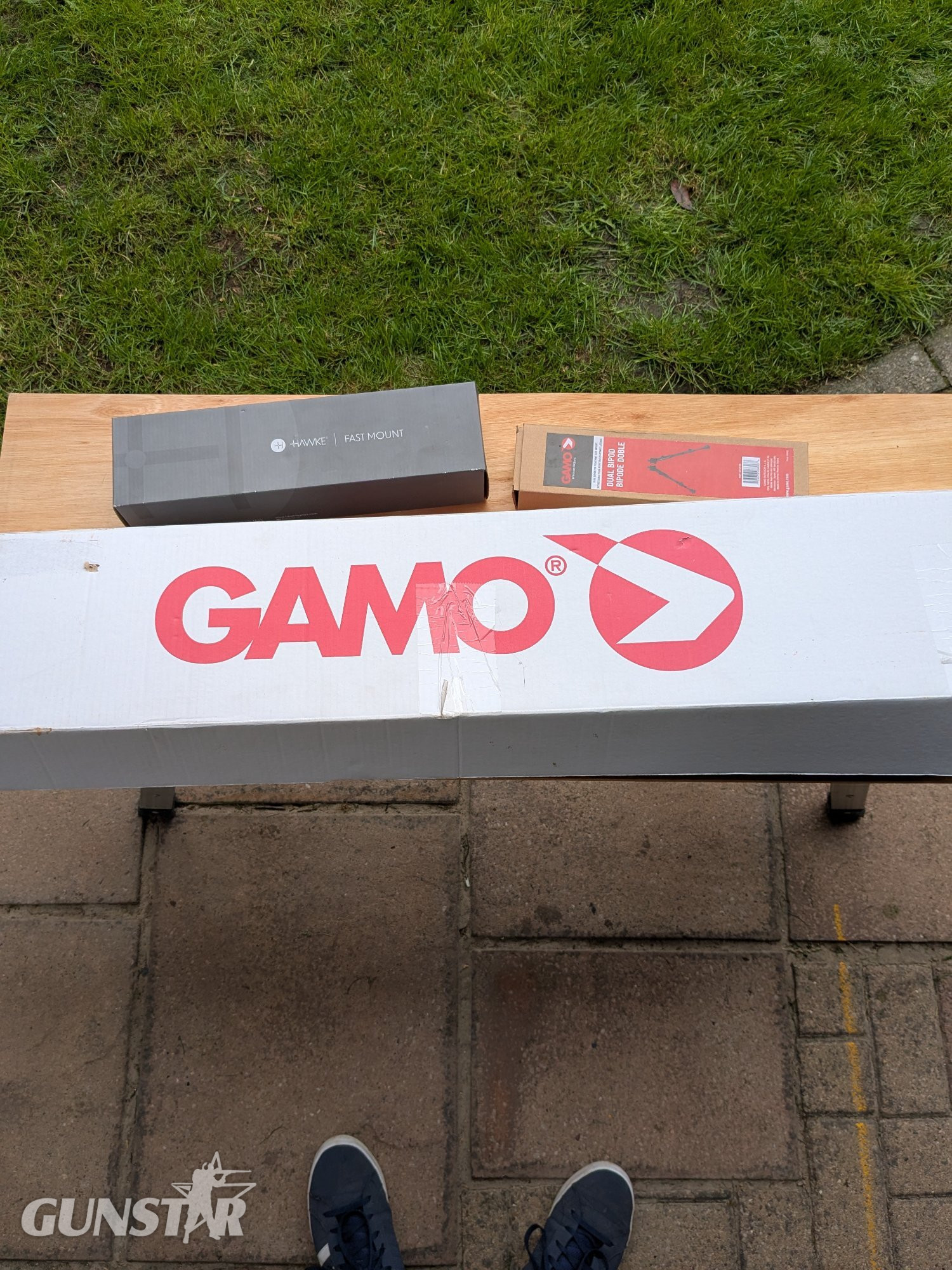 Gamo Venari .22 in 