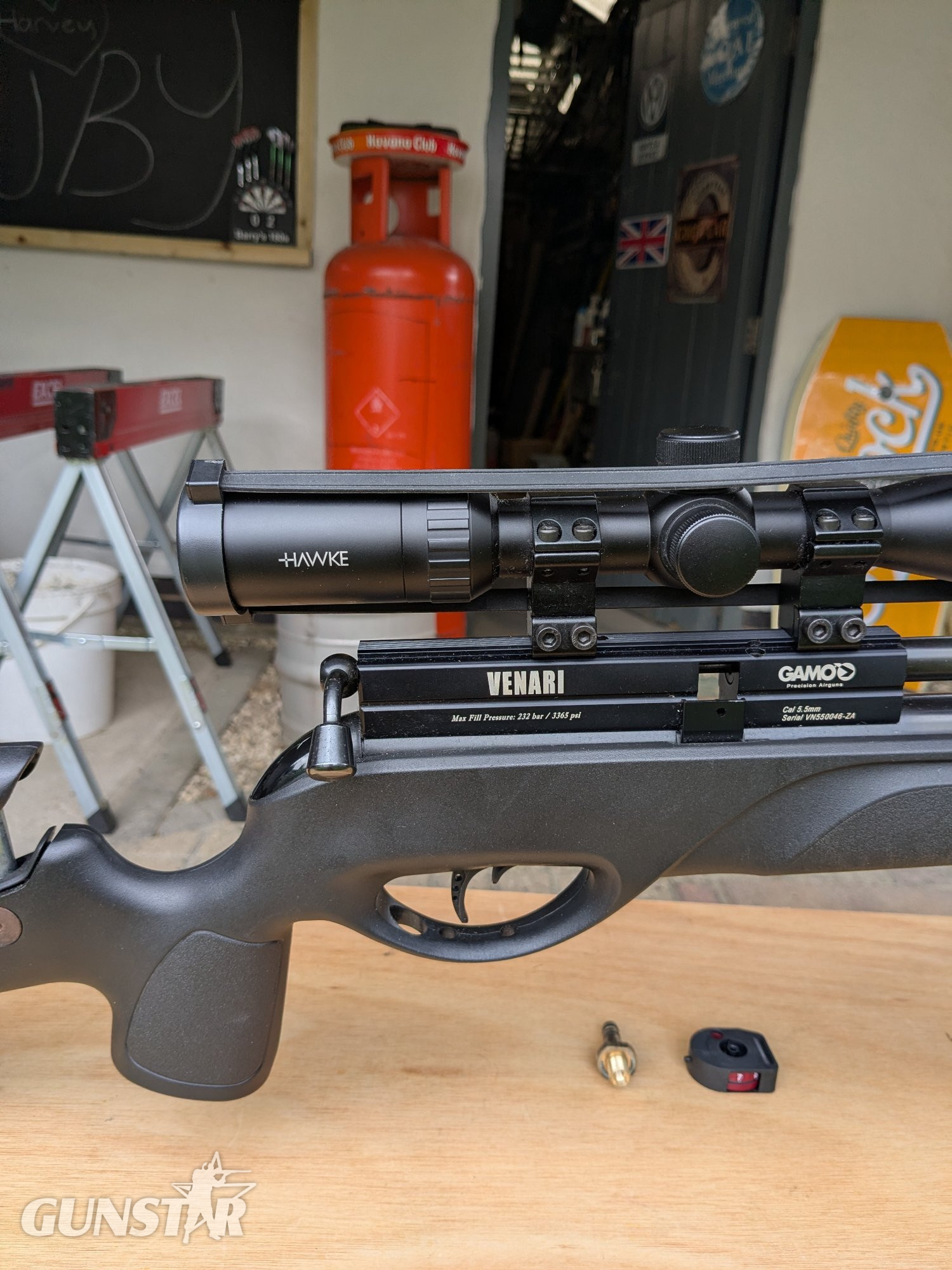  Gamo Venari .22