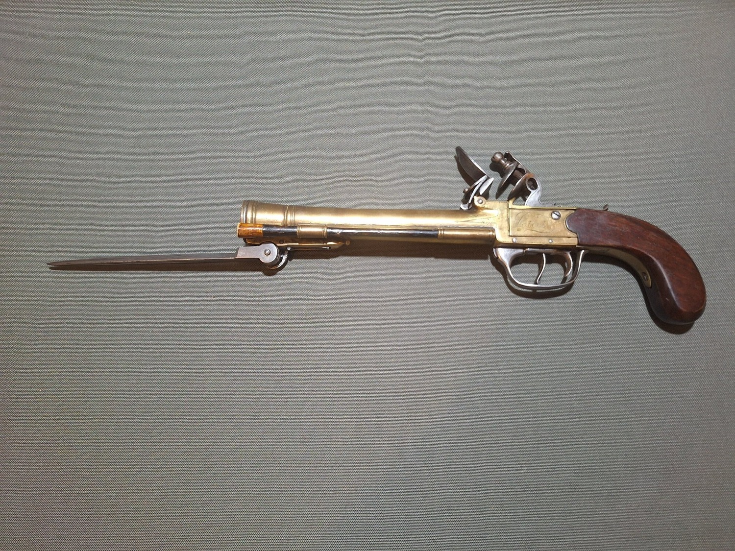 Waters & Co Blunderbuss Obsolete Muzzleloader - {CATEGORY} in 