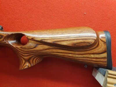 CZ 455 Varmint Laminate  .22 RF Rifle