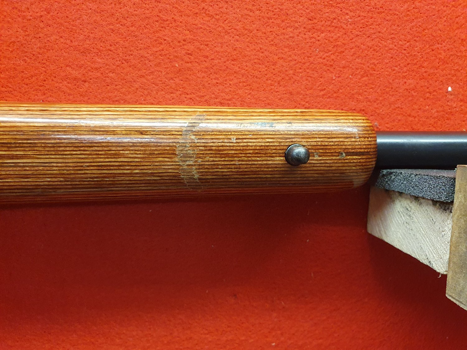 CZ 455 Varmint Laminate  .22 RF Rifle - {CATEGORY} in 