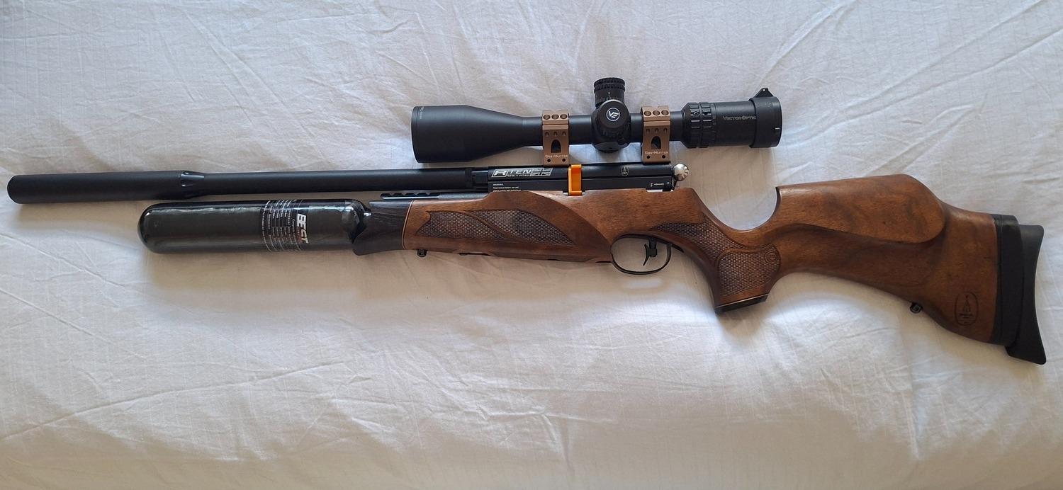 BSA R10 SE .22