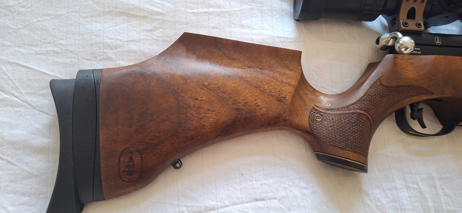 BSA R10 SE .22 
