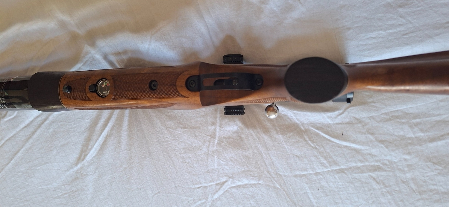 {CATEGORY} - BSA R10 SE .22 in 