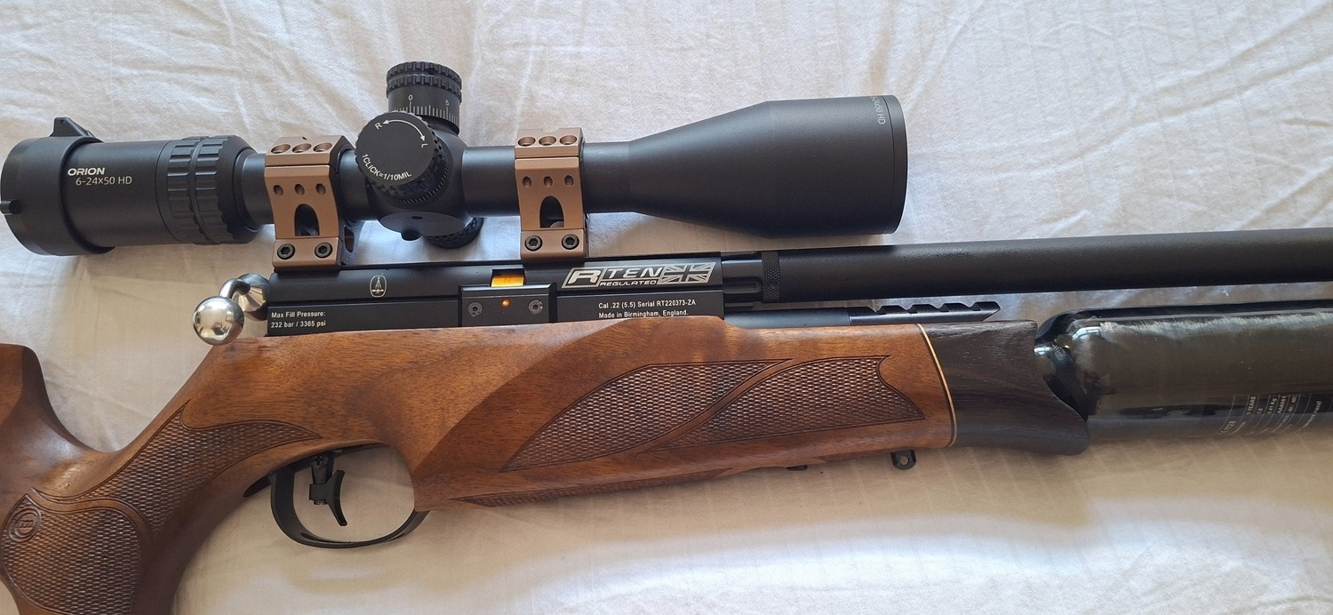 {CATEGORY} - BSA R10 SE .22