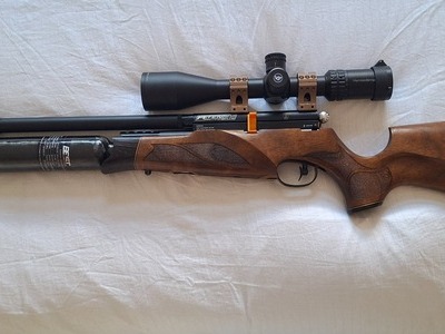 BSA R10 SE .22