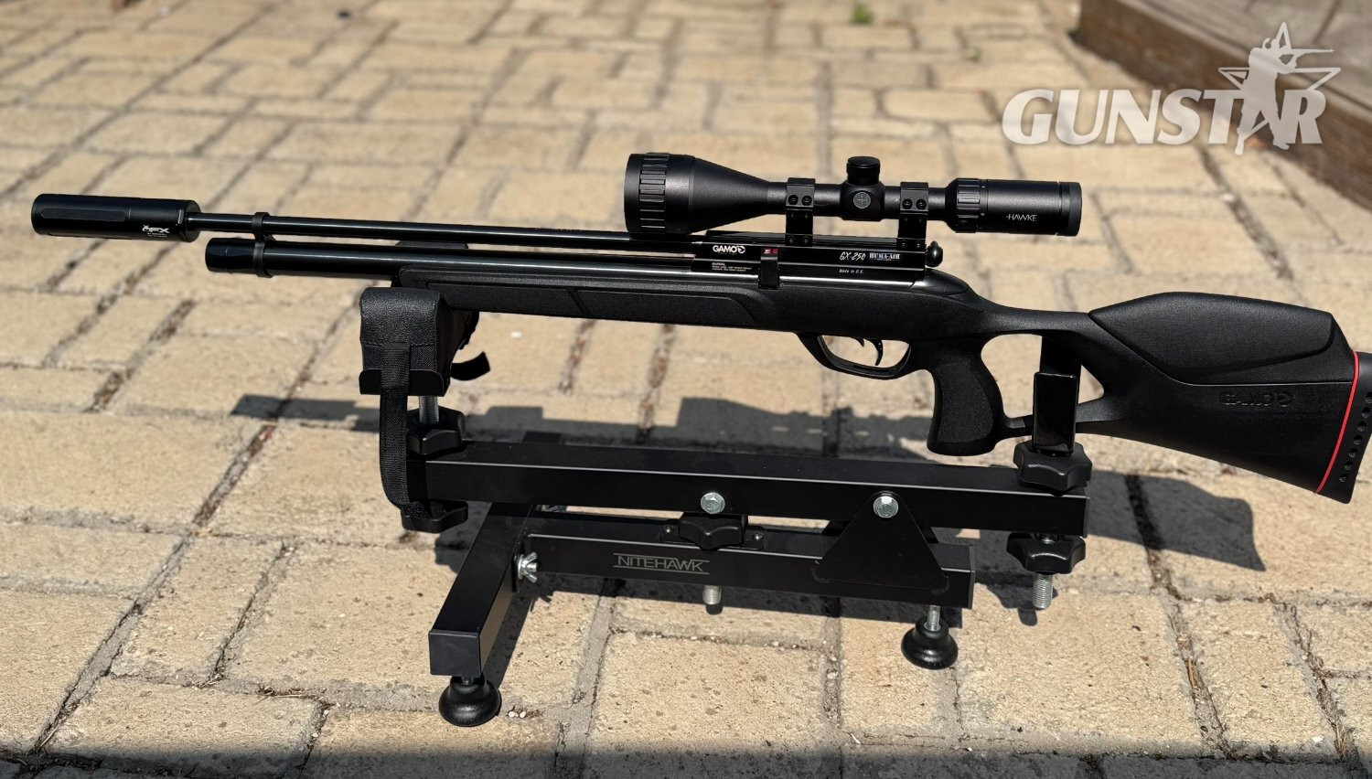 Gamo GX-250 .22 in 