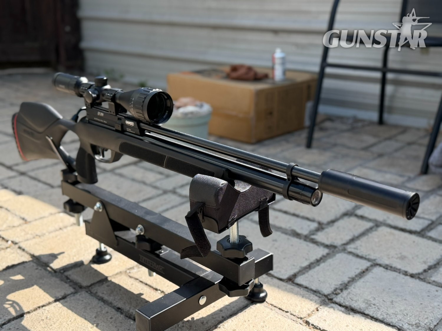  Gamo GX-250 .22