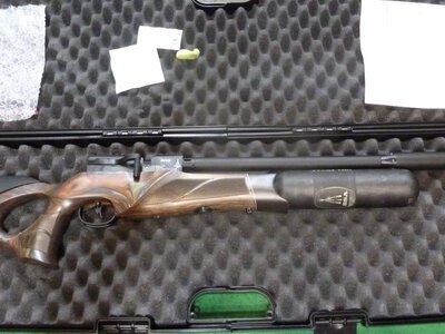 BSA R12 CLX Pro Carbine .22