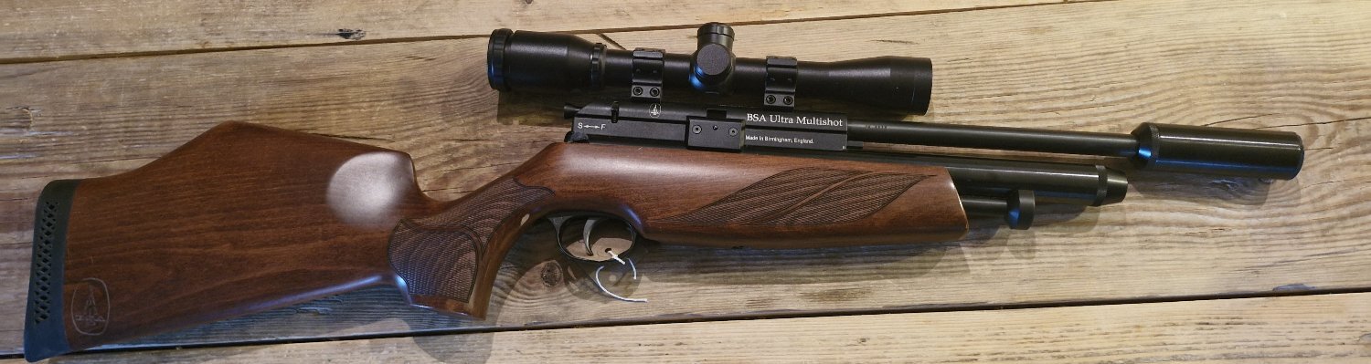 BSA BSA ULTRASHOT TACTICAL VARIANT .22 - {CATEGORY} in 