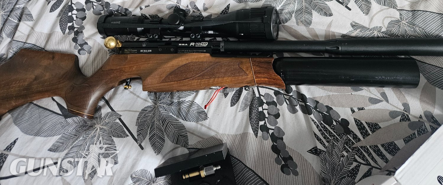 BSA R10 .177 in 