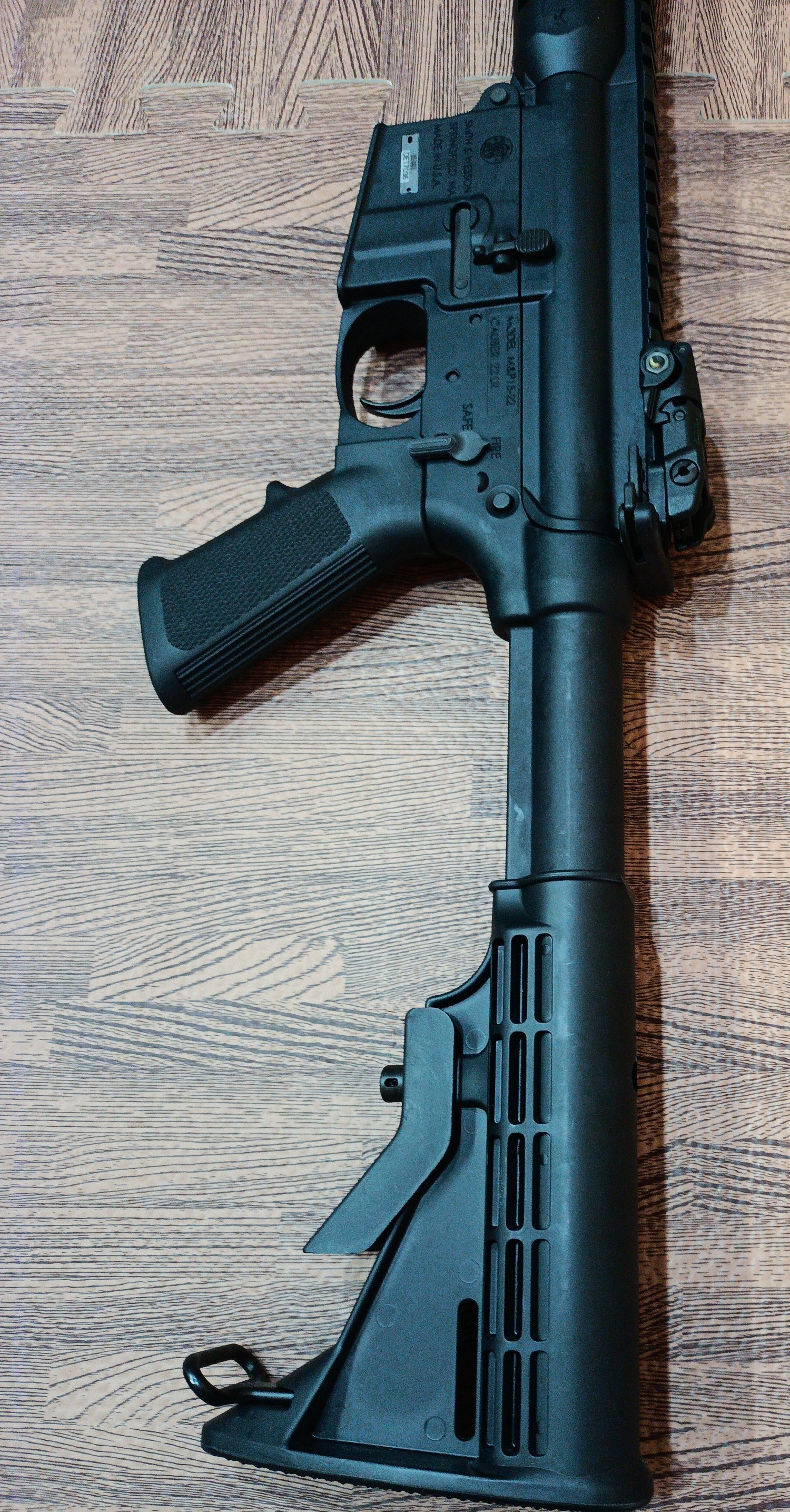  Smith & Wesson M&P Semi-Auto .22 Long Rifle (.22 LR) Rifle
