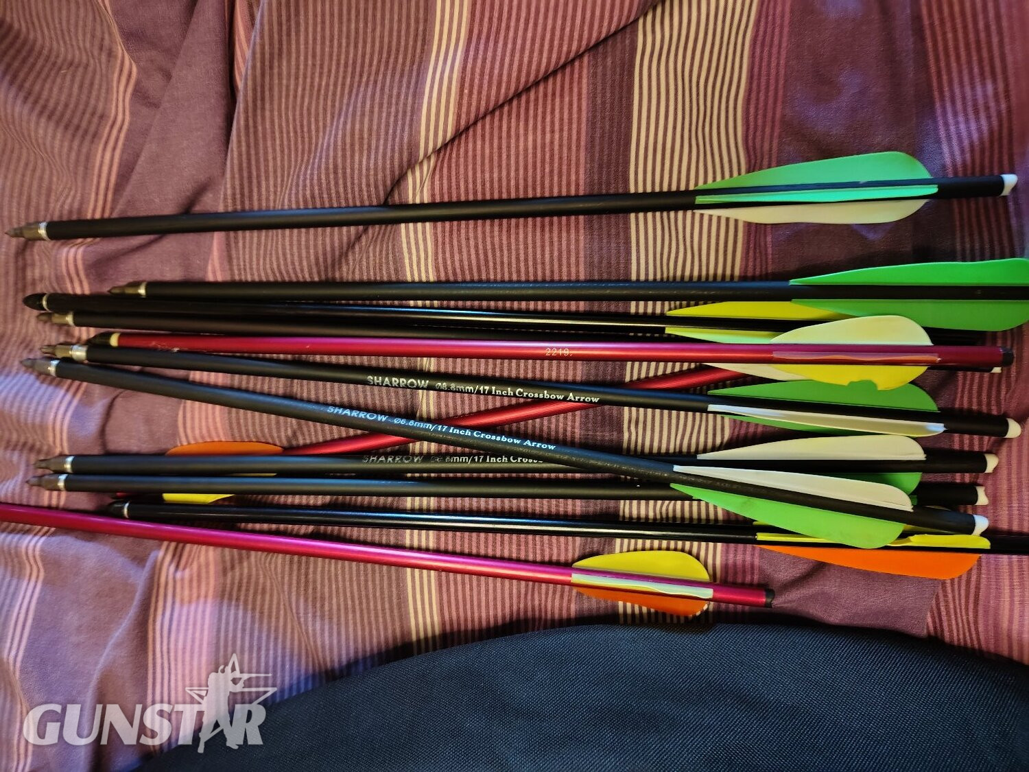 Chase Wind 90  Crossbows and Bows - {CATEGORY}