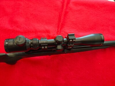 Marlin 7000 Semi-Auto .22 Long Rifle (.22 LR) Rifle