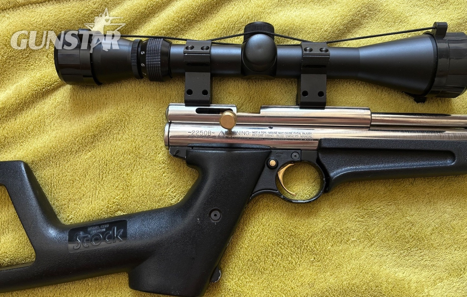 Crosman 2250 B Ratcatcher .22 in 