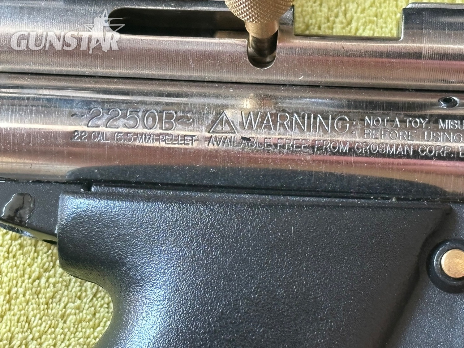 Crosman 2250 B Ratcatcher .22 