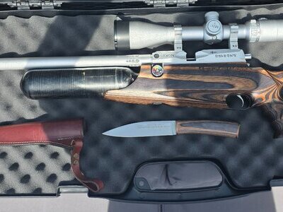 Daystate Pulsar Saxon .177