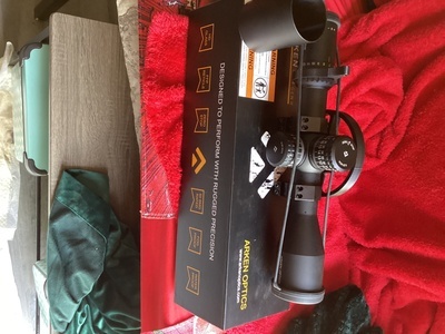 Sight & Optic