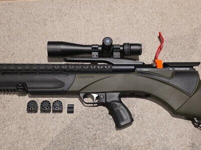 Daystate Renegade .22