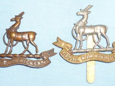 Pair* The Royal Warwickshire Regiment Cap Badges. BA 894. Pair* The Royal Warwickshire Regiment Cap Badges. BA 894.  Antique & Militaria