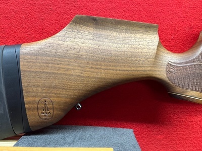 BSA R10 SE FAC .22
