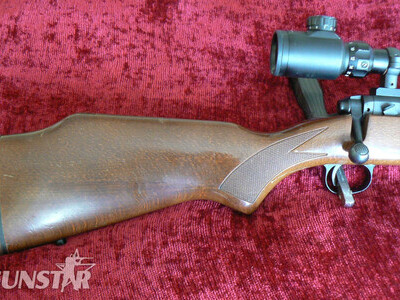 Savage Arms Model 110 Bolt Action .223 Rifle