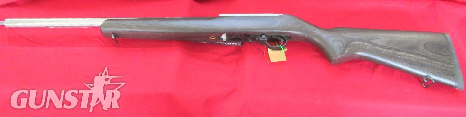 Ruger 10/22 Stainless Target Semi-Auto .22 Long Rifle (.22 LR) Rifle in 