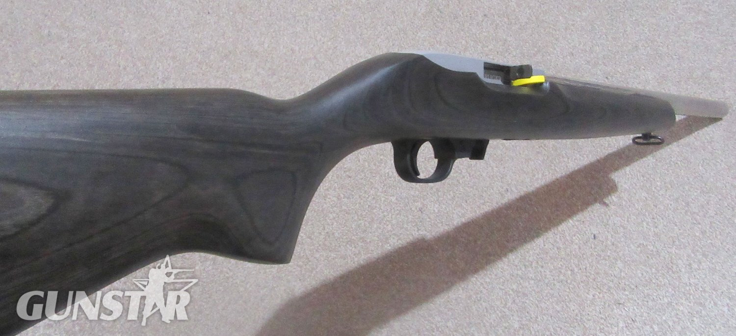 Ruger 10/22 Stainless Target Semi-Auto .22 Long Rifle (.22 LR) Rifle - {CATEGORY} in 