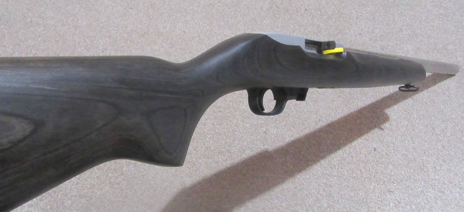 Ruger 10/22 Stainless Target Semi-Auto .22 Long Rifle (.22 LR) Rifle - {CATEGORY} in 