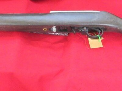 Ruger 10/22 Stainless Target Semi-Auto .22 Long Rifle (.22 LR) Rifle