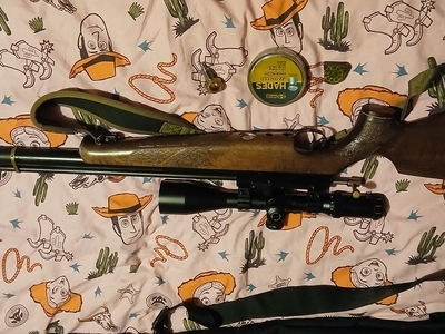 Air Arms & Brocock S410 classic  compatto bantam .22