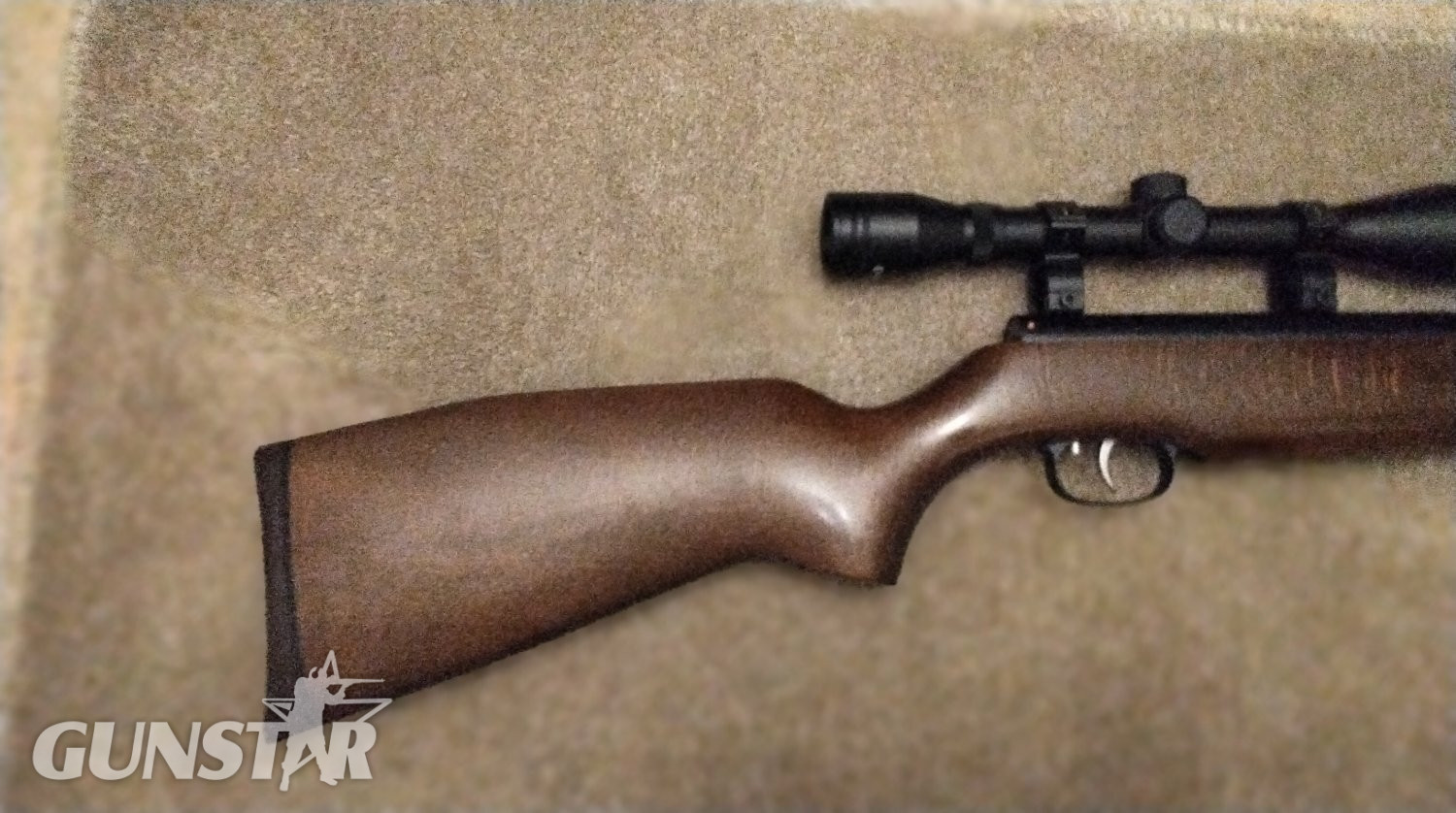 Weihrauch HW99 .22 in 