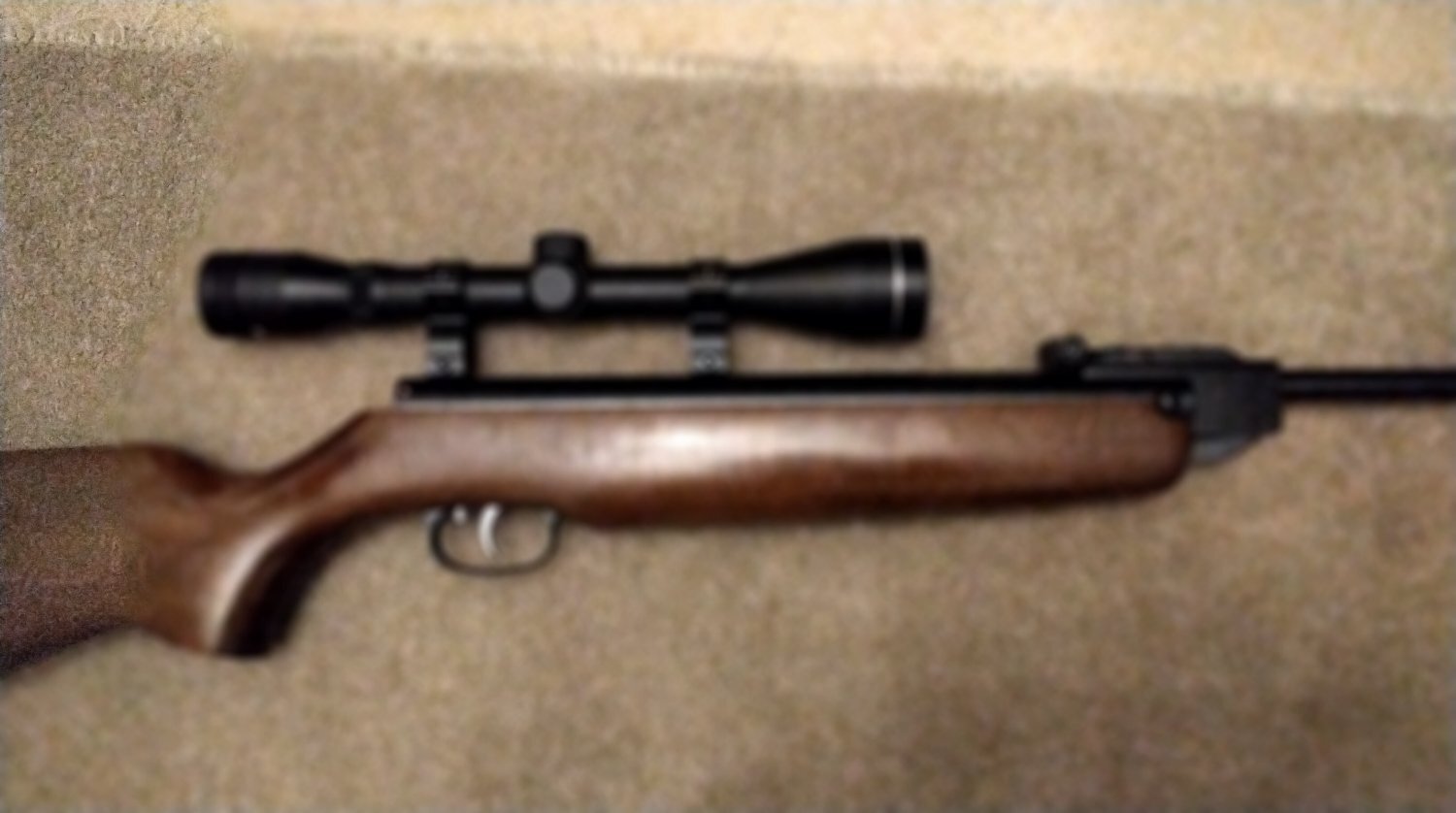  Weihrauch HW99 .22
