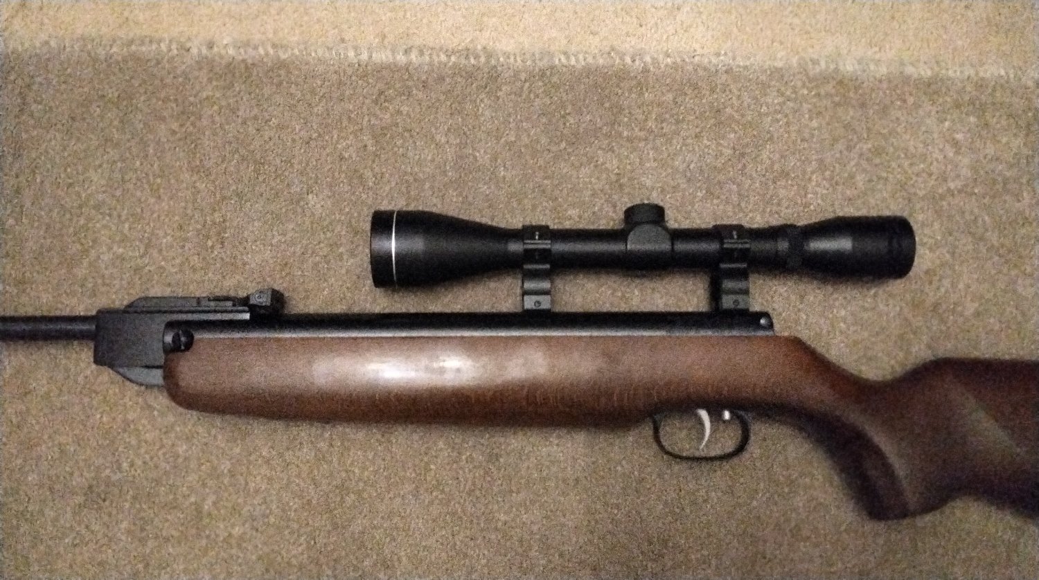 Weihrauch HW99 .22 