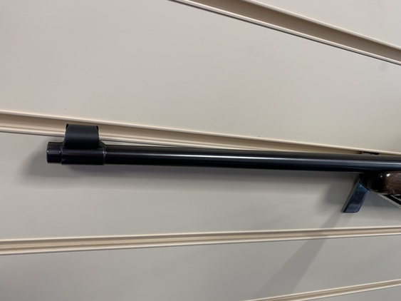 CZ 581 Semi-Auto .22 Rifle - {CATEGORY} in 