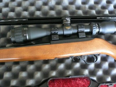 RUGER10/22 10/22 Carbine Semi-Auto .22 Long Rifle (.22 LR) Rifle