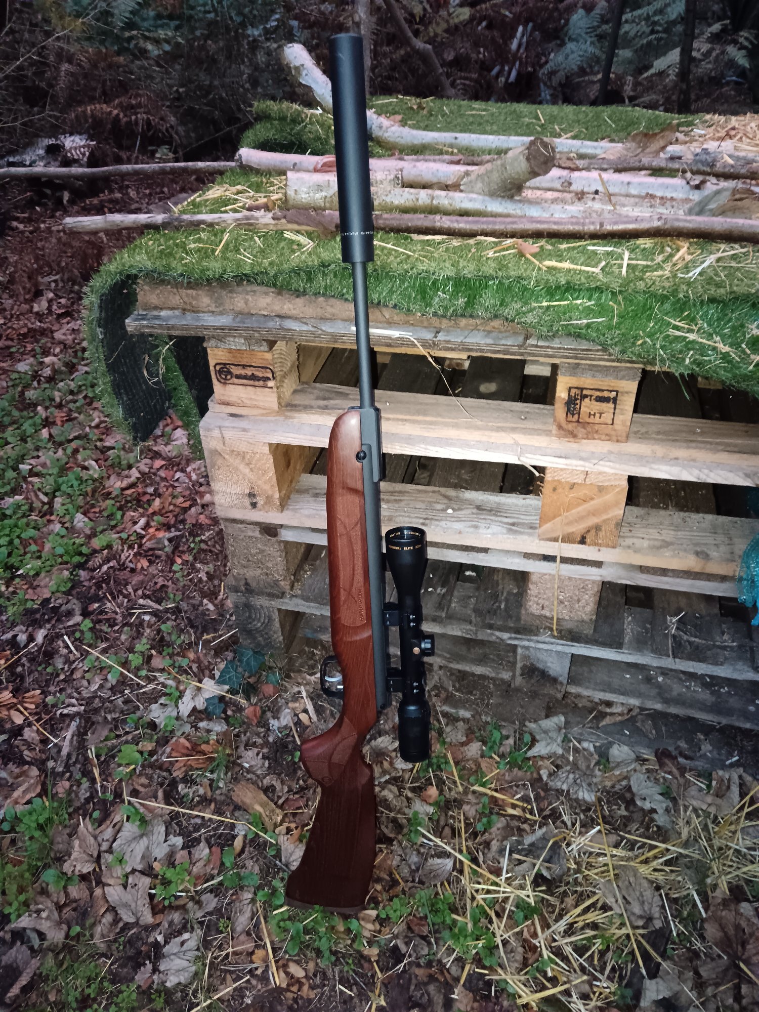Weihrauch HW99S-CUSTOM (THE FORGE) BRACES OF BRISTOL  .177 - {CATEGORY} in 