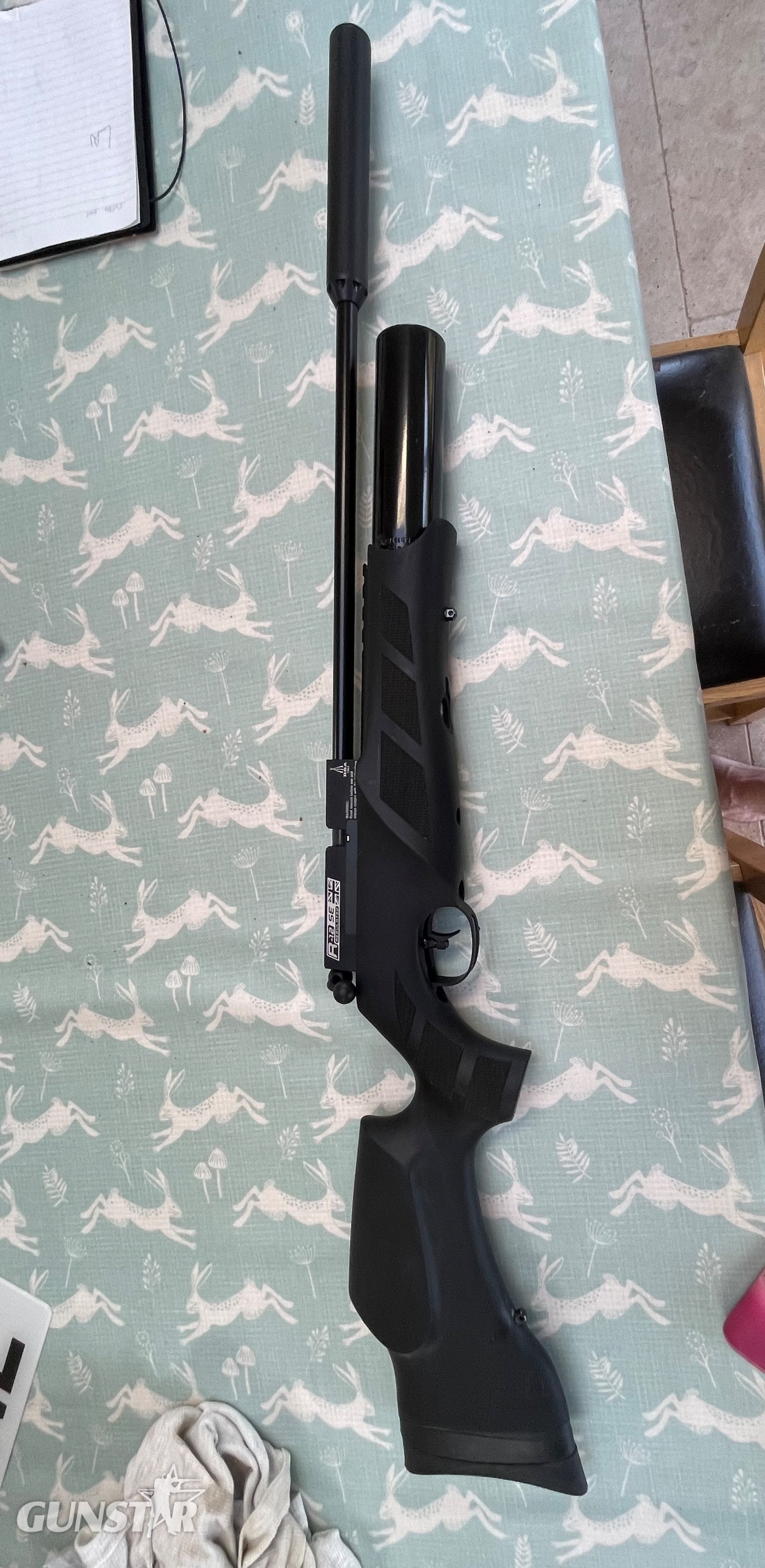 BSA R12 SE .22 in 