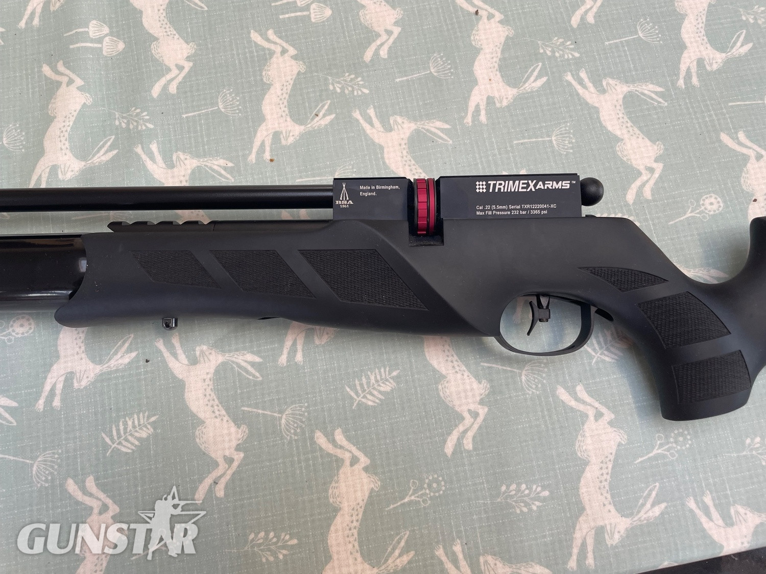 {CATEGORY} - BSA R12 SE .22 in 