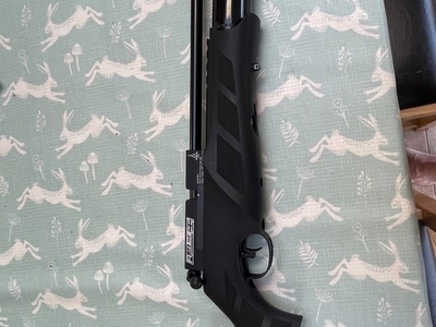 BSA R12 SE .22