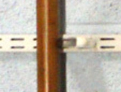 French Spontoon / Pike with Ash Shaft. Other Blade