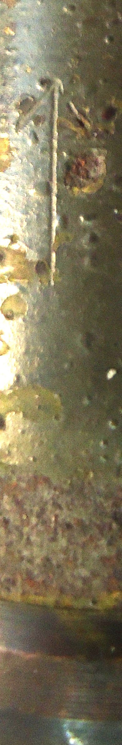 {CATEGORY} - INERT DEACTIVATED. Unfired, WW2 1938 Dated German 20 mm Flak 38 Soluthern (20x138B) HE Practice (High Explosive Practice) Round, O 2405 INERT DEACTIVATED. Unfired, WW2 1938 Dated German 20 mm Flak 38 Soluthern (20x138B) HE Practice (High Explosive Practice) Round, O 2405 Various Other Ammunition