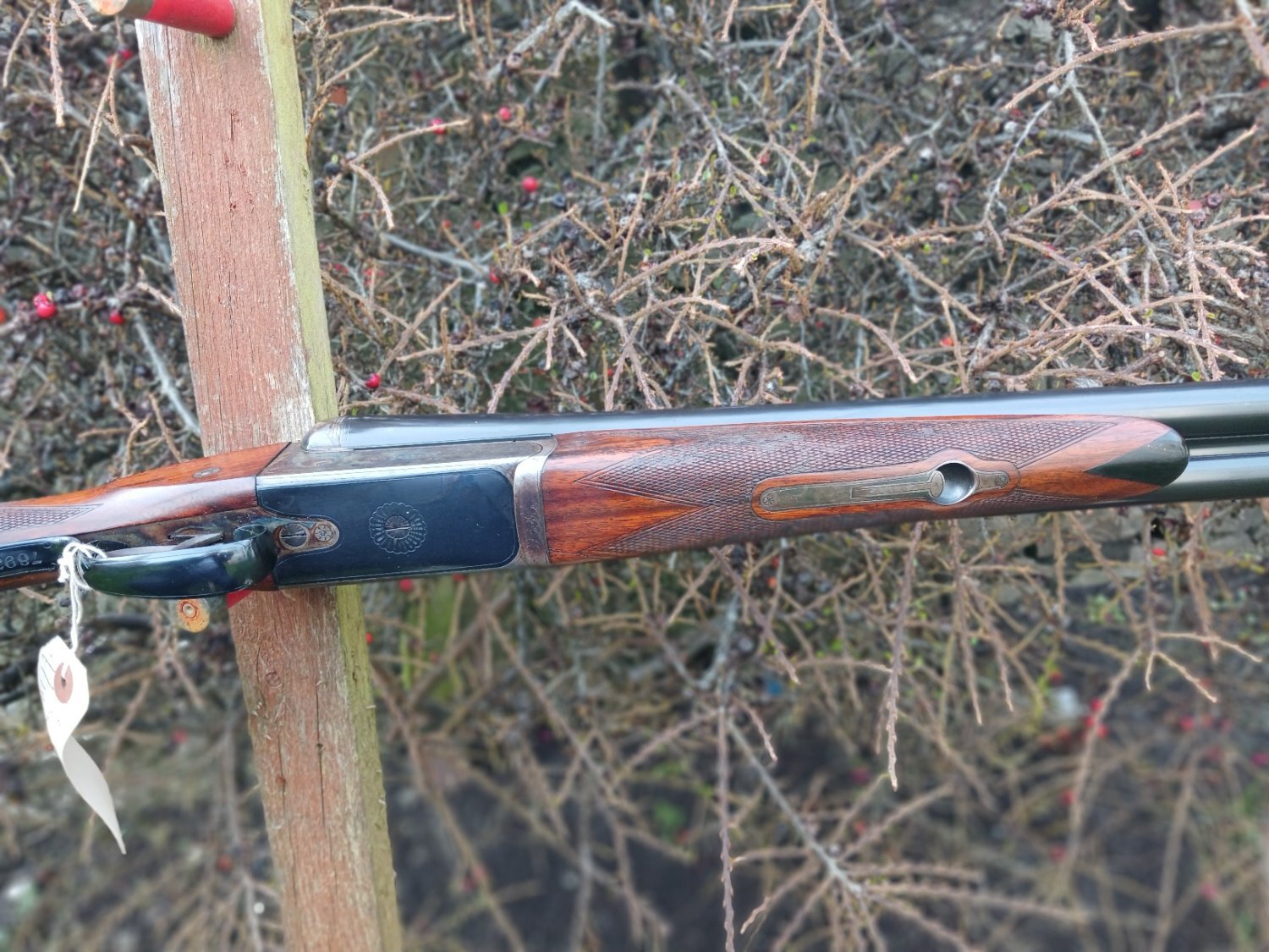 W.W. Greener Empire Side By Side 12 Bore/gauge 