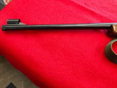 BRNO CZ 511 Semi-Auto .22 Long Rifle (.22 LR) Rifle